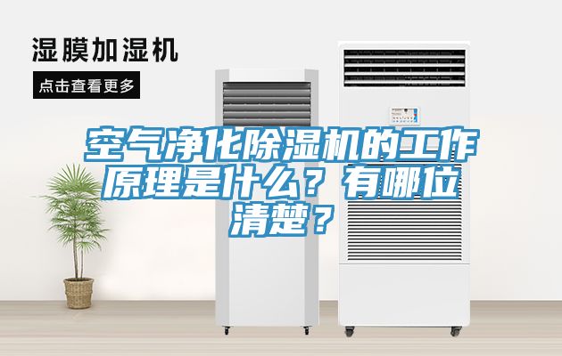 空氣凈化除濕機的工作原理是什么？有哪位清楚？