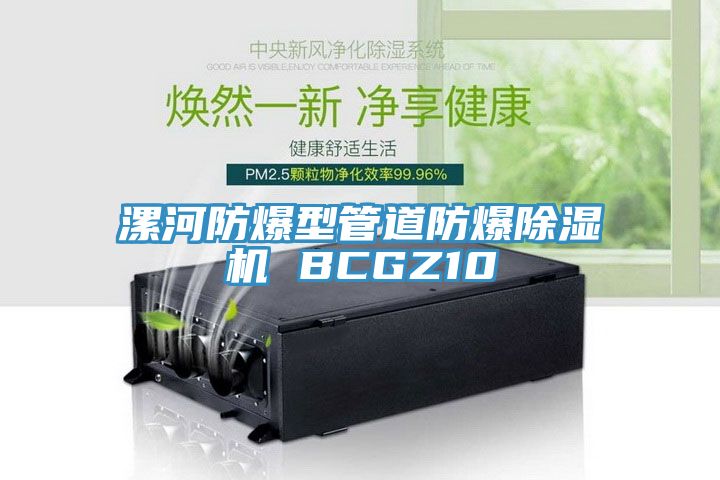 漯河防爆型管道防爆除濕機(jī) BCGZ10