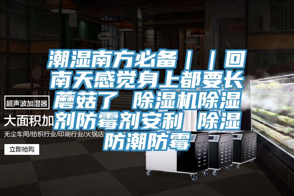 潮濕南方必備｜｜回南天感覺(jué)身上都要長(zhǎng)蘑菇了 除濕機(jī)除濕劑防霉劑安利 除濕防潮防霉