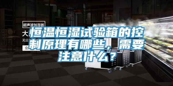 恒溫恒濕試驗(yàn)箱的控制原理有哪些，需要注意什么？