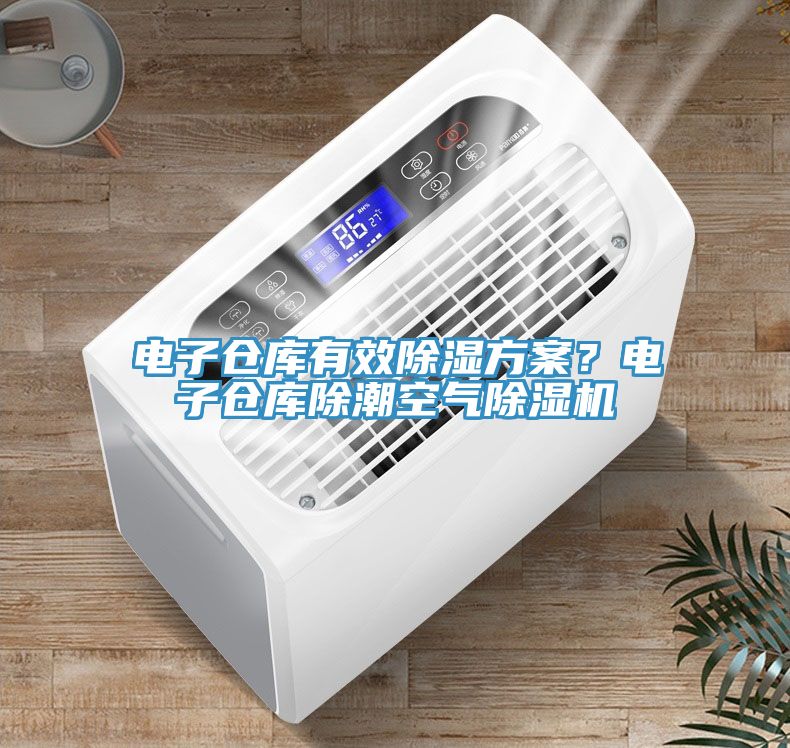 電子倉庫有效除濕方案？電子倉庫除潮空氣除濕機(jī)