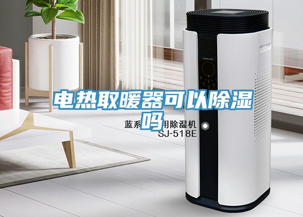 電熱取暖器可以除濕嗎