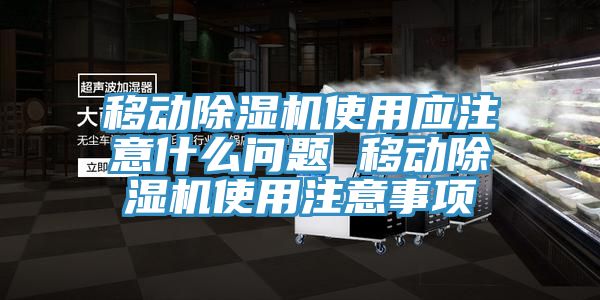 移動除濕機使用應(yīng)注意什么問題 移動除濕機使用注意事項