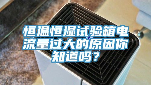 恒溫恒濕試驗(yàn)箱電流量過大的原因你知道嗎？