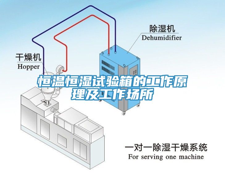 恒溫恒濕試驗(yàn)箱的工作原理及工作場(chǎng)所