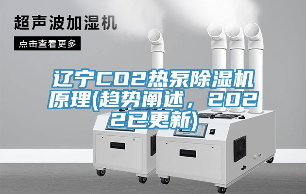 遼寧CO2熱泵除濕機(jī)原理(趨勢(shì)闡述，2022已更新)