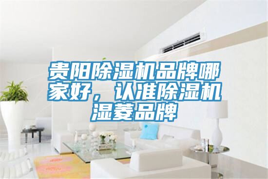 貴陽除濕機品牌哪家好，認準除濕機濕菱品牌