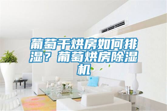 葡萄干烘房如何排濕？葡萄烘房除濕機