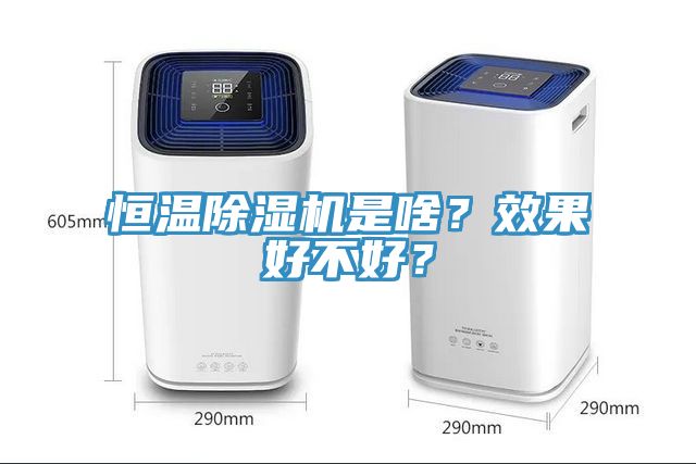 恒溫除濕機是啥？效果好不好？