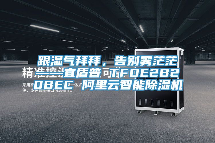 跟濕氣拜拜，告別霧茫茫——宜盾普 TFDE2B20BEC 阿里云智能除濕機