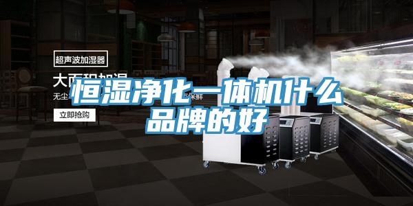 恒濕凈化一體機什么品牌的好