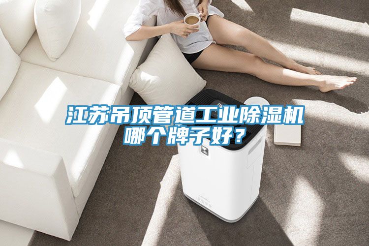 江蘇吊頂管道工業(yè)除濕機哪個牌子好？