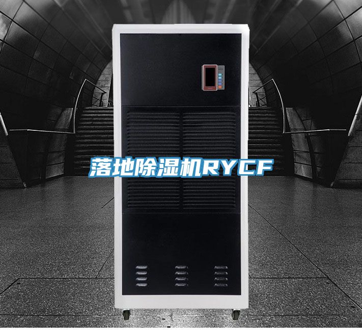 落地除濕機(jī)RYCF