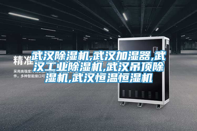 武漢除濕機,武漢加濕器,武漢工業(yè)除濕機,武漢吊頂除濕機,武漢恒溫恒濕機