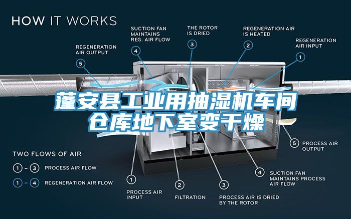 蓬安縣工業(yè)用抽濕機(jī)車間倉(cāng)庫(kù)地下室變干燥