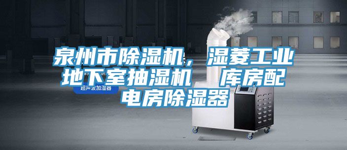 泉州市除濕機，濕菱工業(yè)地下室抽濕機  庫房配電房除濕器