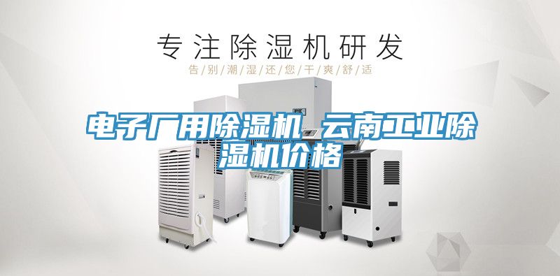 電子廠用除濕機(jī) 云南工業(yè)除濕機(jī)價(jià)格