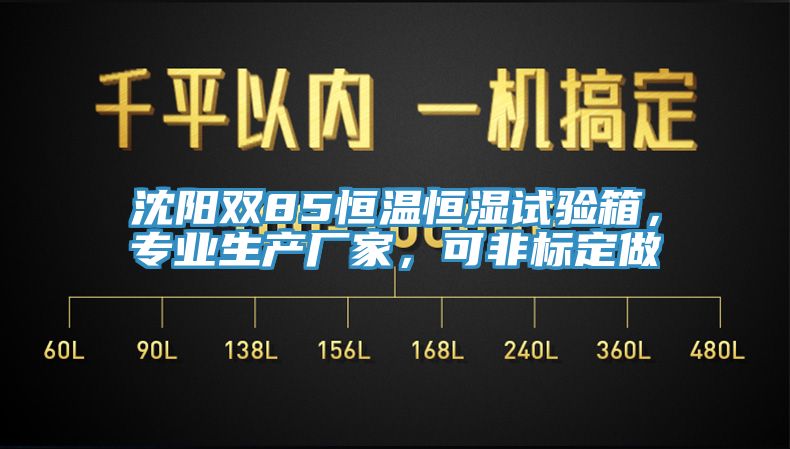 沈陽雙85恒溫恒濕試驗(yàn)箱，專業(yè)生產(chǎn)廠家，可非標(biāo)定做