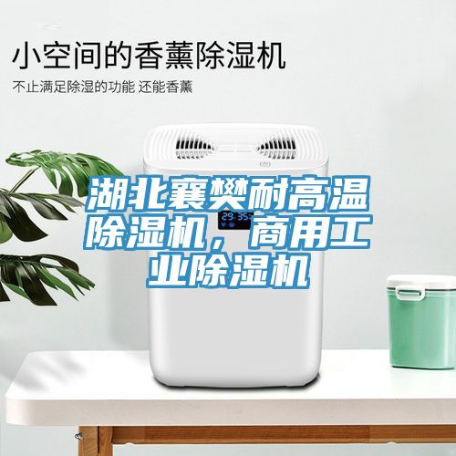 湖北襄樊耐高溫除濕機(jī)，商用工業(yè)除濕機(jī)