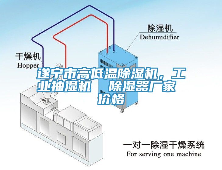 遂寧市高低溫除濕機，工業(yè)抽濕機  除濕器廠家 價格