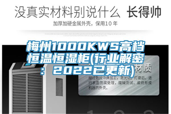 梅州1000KWS高檔恒溫恒濕柜(行業(yè)解密：2022已更新)