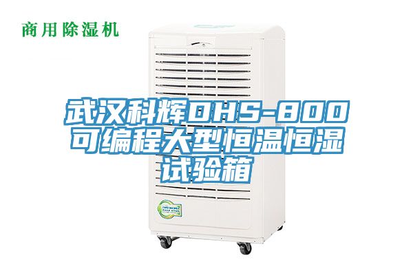 武漢科輝DHS-800可編程大型恒溫恒濕試驗(yàn)箱