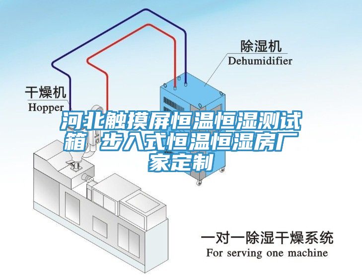 河北觸摸屏恒溫恒濕測(cè)試箱 步入式恒溫恒濕房廠(chǎng)家定制