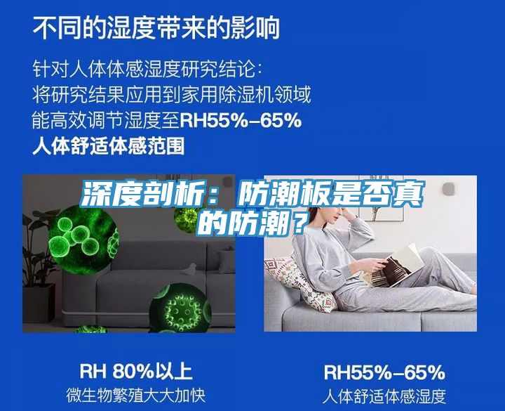 深度剖析：防潮板是否真的防潮？