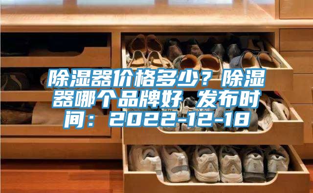 除濕器價格多少？除濕器哪個品牌好 發(fā)布時間：2022-12-18