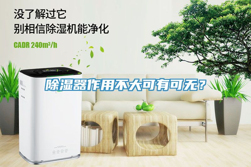 除濕器作用不大可有可無？