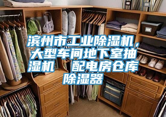 濱州市工業(yè)除濕機，大型車間地下室抽濕機  配電房倉庫除濕器