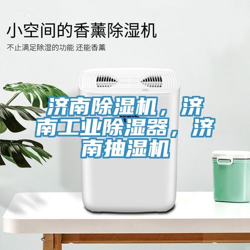 濟南除濕機，濟南工業(yè)除濕器，濟南抽濕機