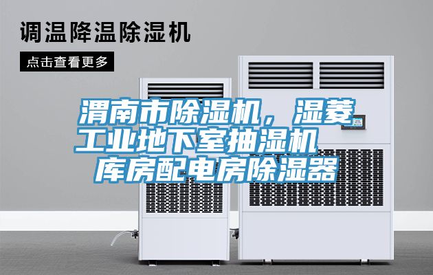 渭南市除濕機(jī)，濕菱工業(yè)地下室抽濕機(jī)  庫(kù)房配電房除濕器