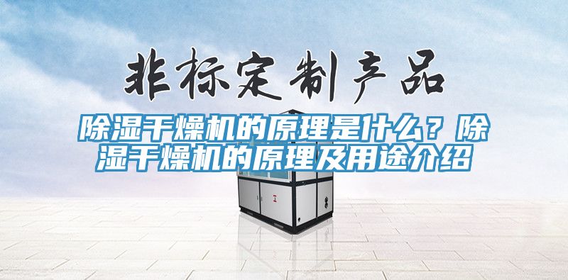 除濕干燥機的原理是什么？除濕干燥機的原理及用途介紹