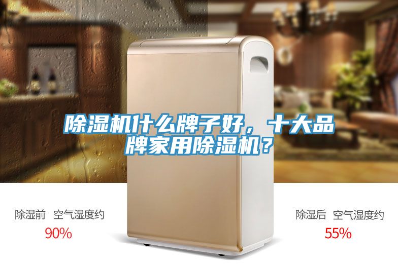 除濕機(jī)什么牌子好，十大品牌家用除濕機(jī)？