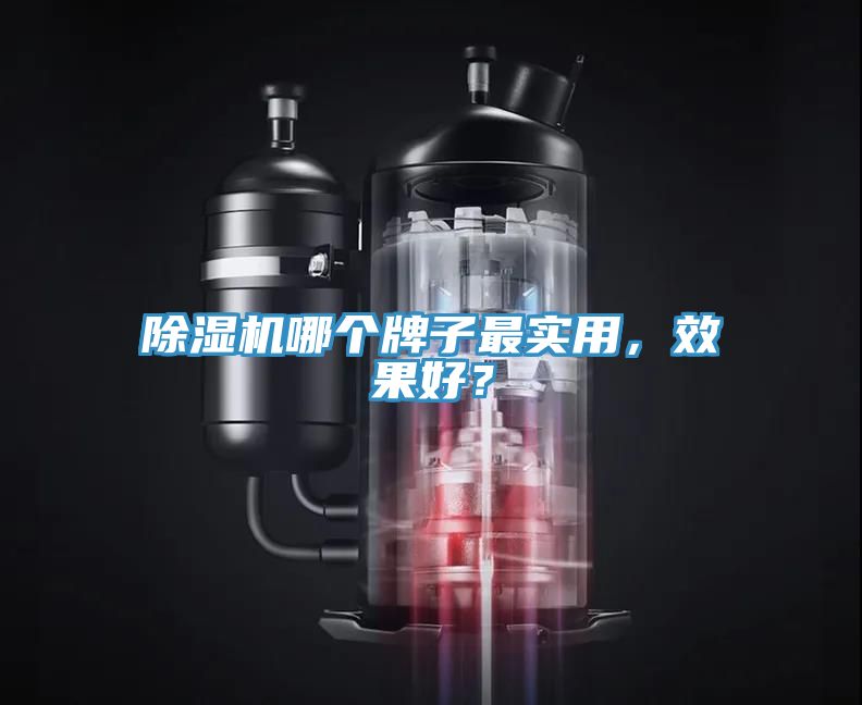 除濕機哪個牌子最實用，效果好？