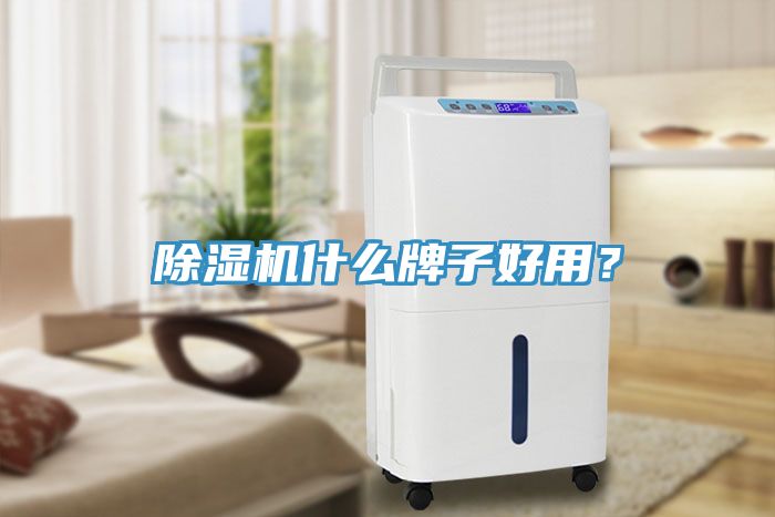 除濕機什么牌子好用？