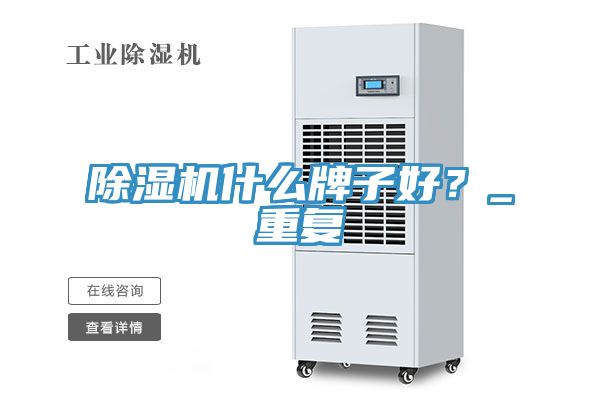 除濕機什么牌子好？_重復