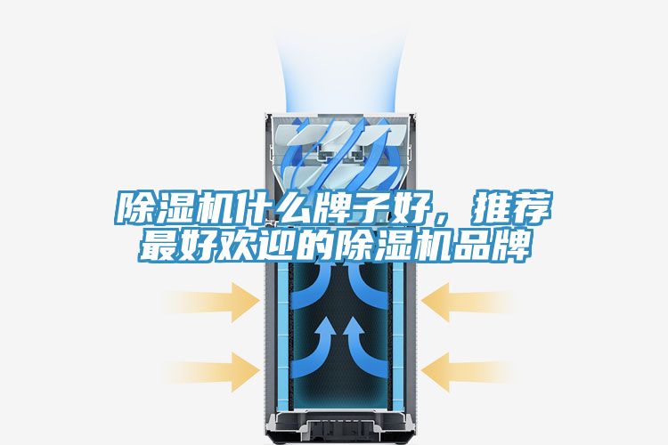 除濕機什么牌子好，推薦最好歡迎的除濕機品牌