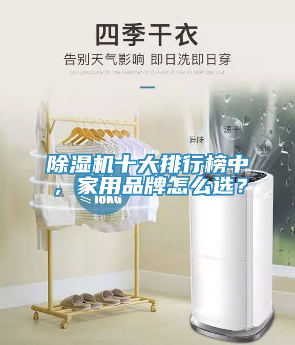 除濕機(jī)十大排行榜中，家用品牌怎么選？