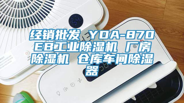 經(jīng)銷批發(fā) YDA-870EB工業(yè)除濕機 廠房除濕機 倉庫車間除濕器