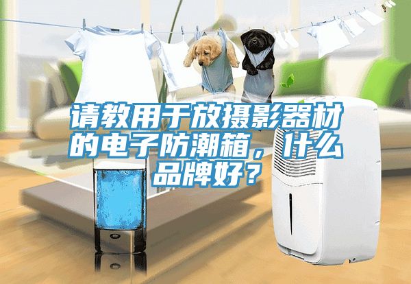 請(qǐng)教用于放攝影器材的電子防潮箱，什么品牌好？