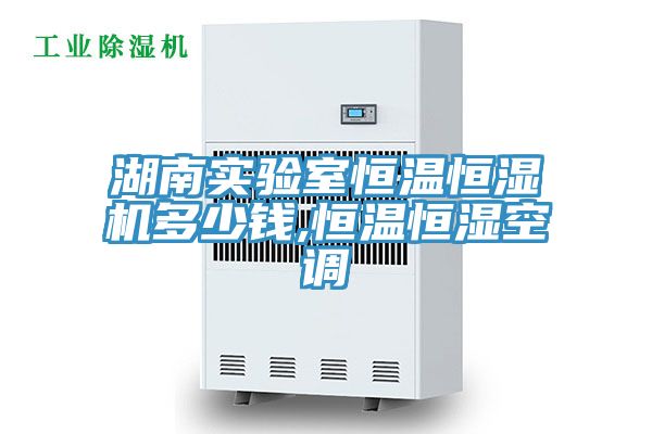 湖南實驗室恒溫恒濕機多少錢,恒溫恒濕空調(diào)