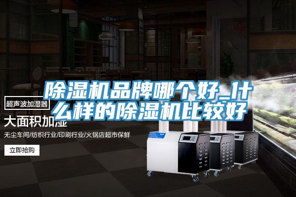 除濕機品牌哪個好_什么樣的除濕機比較好