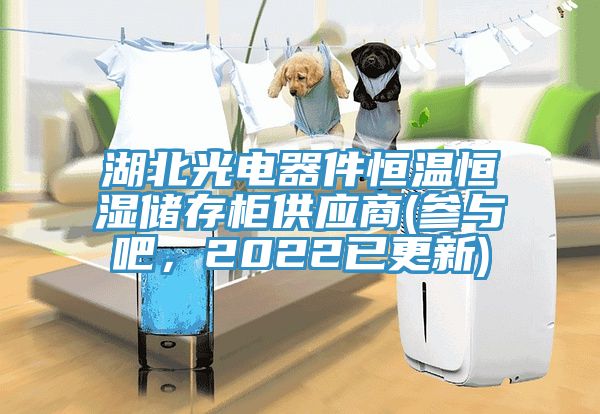 湖北光電器件恒溫恒濕儲存柜供應商(參與吧，2022已更新)