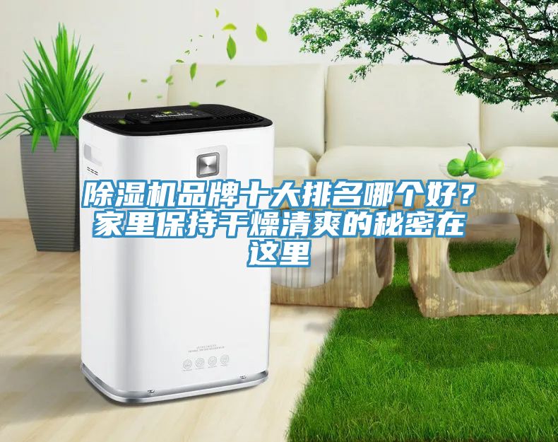 除濕機品牌十大排名哪個好？家里保持干燥清爽的秘密在這里