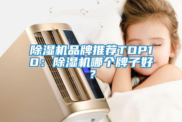 除濕機品牌推薦TOP10：除濕機哪個牌子好？