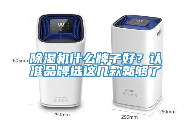 除濕機什么牌子好？認準品牌選這幾款就夠了