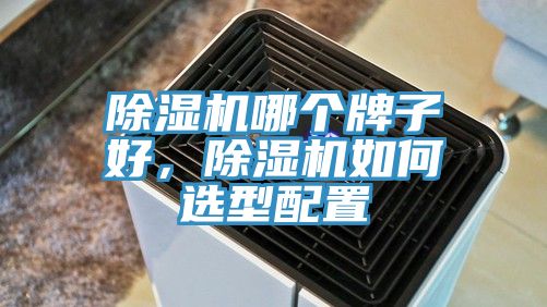 除濕機哪個牌子好，除濕機如何選型配置