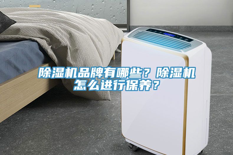 除濕機品牌有哪些？除濕機怎么進行保養(yǎng)？